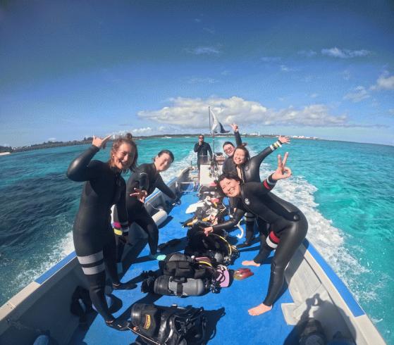 2023年初見老津ダイビング！和歌山という近場にこんな海があるんです